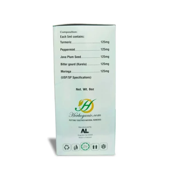 Blood Sugar Support Syrup - 8oz